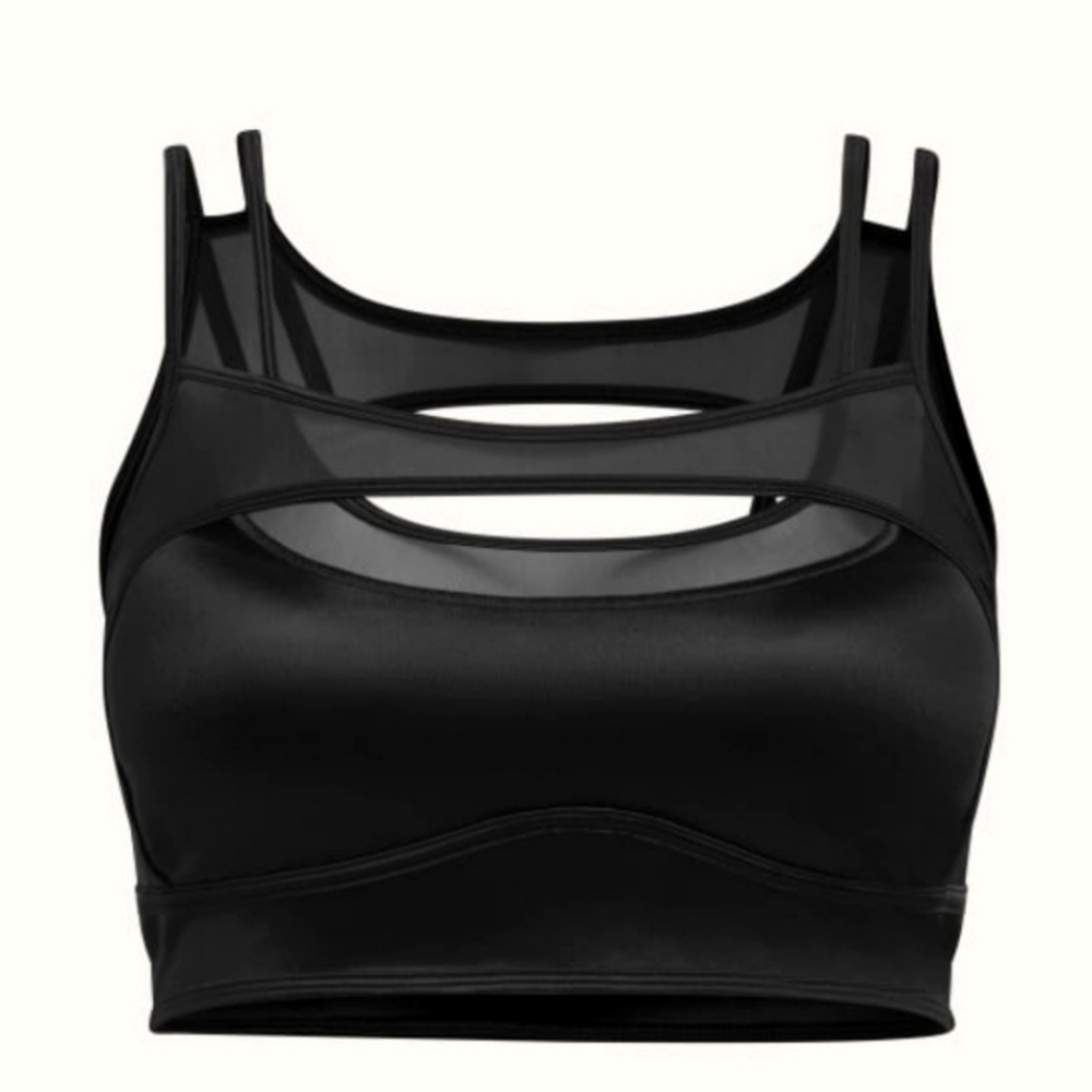 Ivy Park Shiny Mesh Bra Plus Size 1X